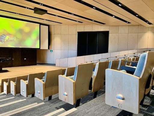 USC Moreton Bay auditorium chairs made from Gen-Eco European Birch plywood