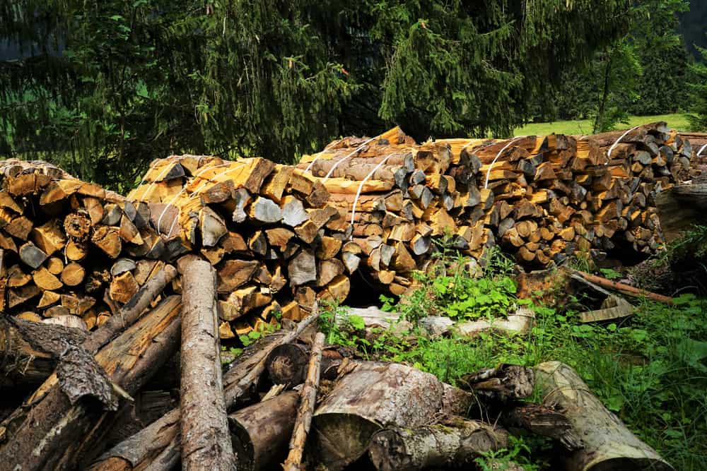Firewood Stack in the Tyrolean Alps in Summer